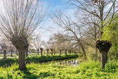 20260326, Meeldijk 20, Spijkenisse, Wittewoning Makelaars Uden - Veghel (42 of 43).jpg