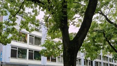 Verkocht onder voorbehoud:Trouwlaan 297, 5021 WK Tilburg - Foto