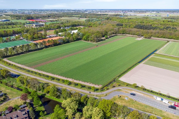 Medium property photo - Meidoornplantsoen 33, 2161 MA Lisse