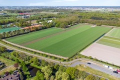 Meidoornplantsoen332161MALisseNL-50.jpg