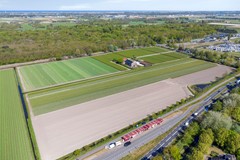 Meidoornplantsoen332161MALisseNL-51.jpg