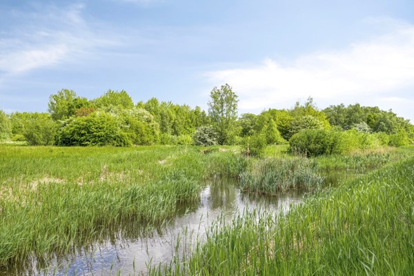 Medium property photo - Heideveld 50, 2151 LV Nieuw-Vennep