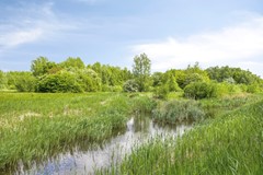 Heideveld502151LVNieuwVennep-48.jpg