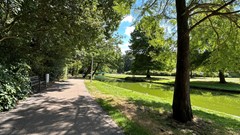 IMG_6709.jpg