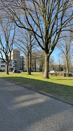 Medium property photo - Predikherenlaan 54, 5042 CN Tilburg