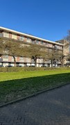 68.jpg