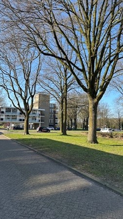 Medium property photo - Predikherenlaan 54, 5042 CN Tilburg
