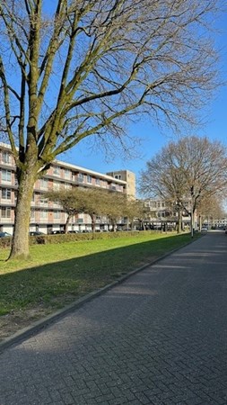 Medium property photo - Predikherenlaan 54, 5042 CN Tilburg