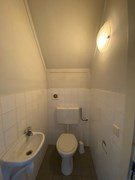 IMG_0211.jpeg