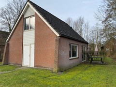IMG_0230.jpeg