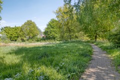 Lelieberg244708lkRoosendaalNL-43.jpg