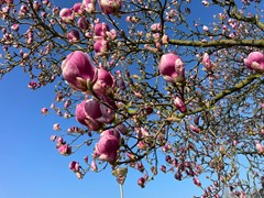 WhatsApp Image 2026-03-24 at 10.15.58.jpeg