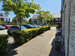20260729_144937.jpg