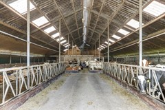 63_NIEUW_LEKKERLAND_2957_VC_Lekdijk_436 (Aangepast).jpg