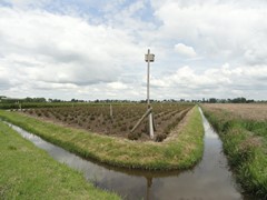 Koop:Veldweg, 2461 GE Ter Aar - Foto