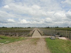 Koop:Veldweg, 2461 GE Ter Aar - Foto