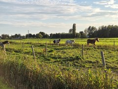 Verkocht:Dwarsweg, 1394 AX Nederhorst den Berg - Foto