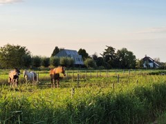 20240907_192517 (Aangepast).jpg