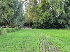 20240907_192930 (Aangepast).jpg