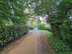 20240907_185442 (Aangepast).jpg