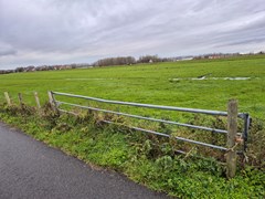 Verkocht:Balgerij, 2159 LZ Kaag - Foto