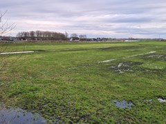 Verkocht:Balgerij, 2159 LZ Kaag - Foto