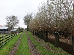 Verkocht:Reijerscop, 3481 LE Harmelen - Foto