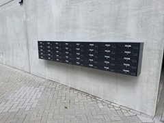 597.jpg