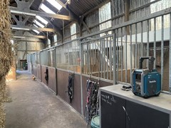 IMG_5251.JPEG