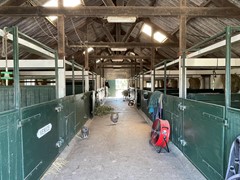 IMG_5245.JPEG