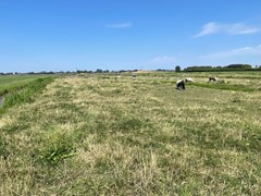 IMG_5266.JPEG