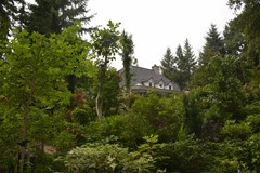 DSC_5699.JPG