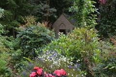 DSC_5677.JPG