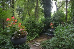 DSC_5720.JPG