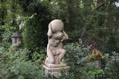 DSC_5723.JPG