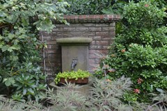 DSC_5696.JPG