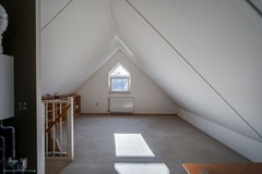 Veenmos 4, Reuver(41).jpg