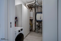 Snavelbies 23, Reuver(43).jpg