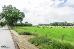 Broeklaan 119, Reuver(5).jpg