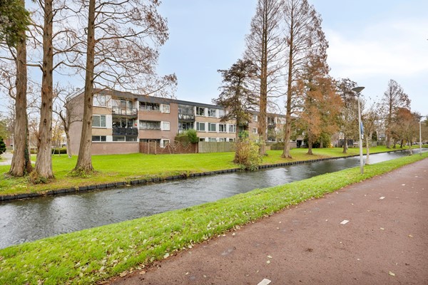 Scholeksterstraat 38, 3181SR Rozenburg