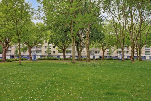 Medium property photo - Bosseplaat 121, 3181 ZC Rozenburg