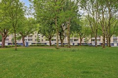 02_ROZENBURG_ZH_3181_ZC_Bosseplaat_121.jpg