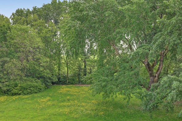 Medium property photo - Bosseplaat 121, 3181 ZC Rozenburg