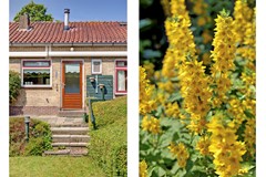 46_ROZENBURG_ZH_3181_GK_Koninginnelaan_16_a.jpg