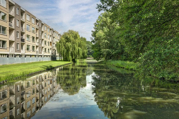 Langeplaat 103, 3181 ZJ Rozenburg