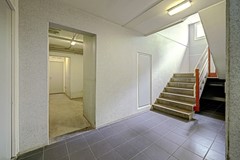 16_ROZENBURG_ZH_3181_ZJ_Langeplaat_103.jpg