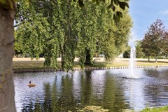 34_ROZENBURG_ZH_3181_DK_Rembrandtsingel_71.jpg