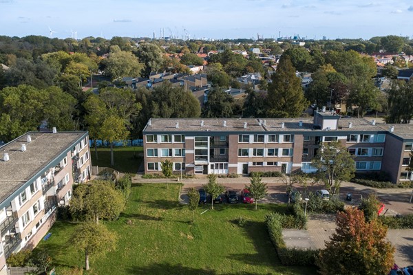 Scholeksterstraat 90, 3181ST Rozenburg