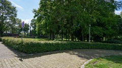 Foto (12).jpg