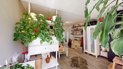 Foto (21).jpg